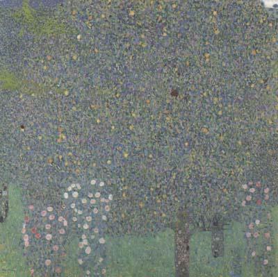 Gustav Klimt Rose Bushes Under the Trees (mk20) Sweden oil painting art